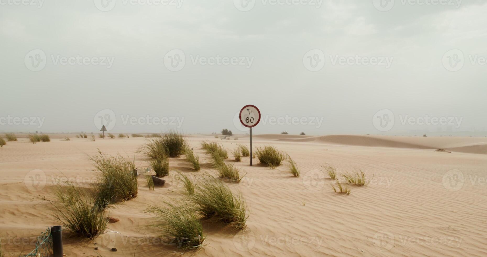 Road signs and sparse vegetation peek through the desert sand. The road is covered with sand, it is not visible. The mesh road fence is almost completely covered with sand. 4k , red komodo photo