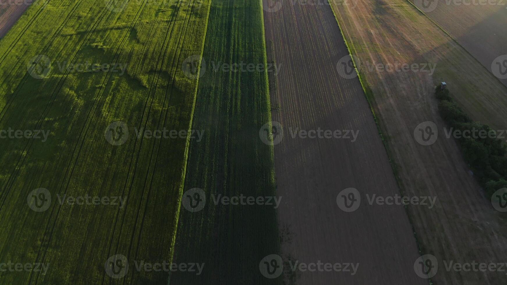 The drone flies over the arable land. Flat strips of land and grass from a bird's eye view on a sunny day photo