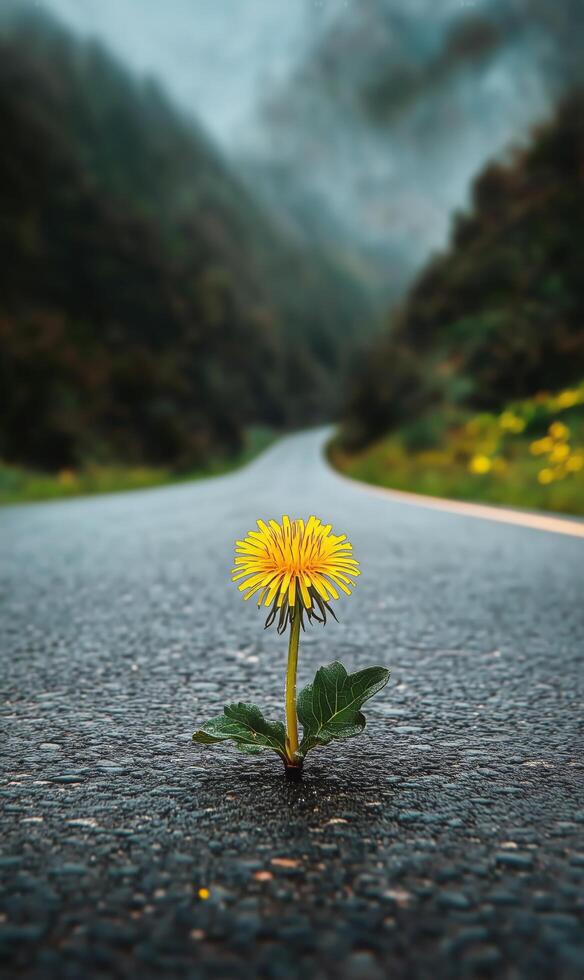 Bright Yellow Dandelion Growing Through Asphalt on a Winding Road Surrounded by Greenery photo