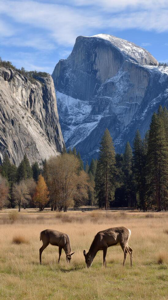 Majestic Elk Grazing in a Serene Meadow With Rocky Mountains in the Background During Autumn. photo