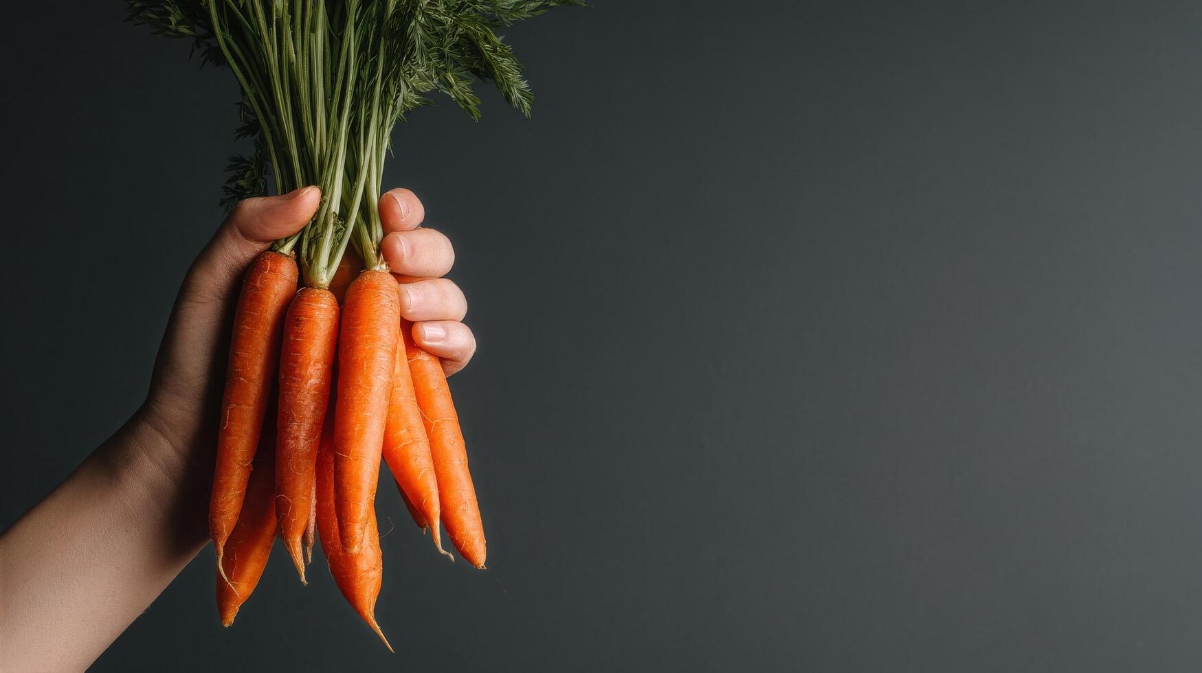 Freshly Harvested Carrots Held by a Hand Against a Dark Background in a Simple Composition photo