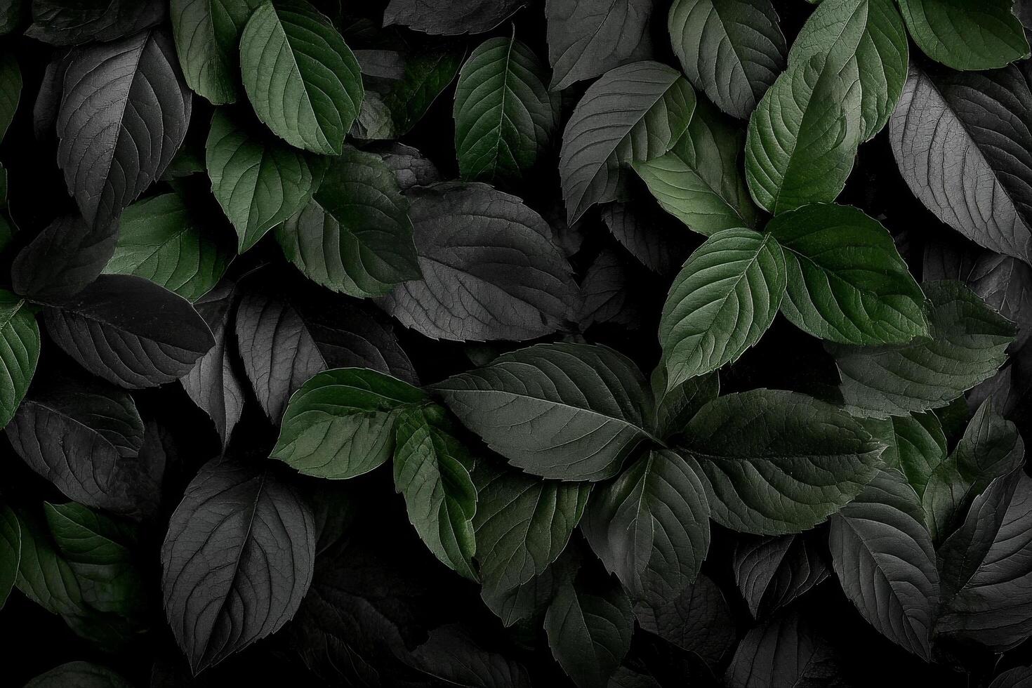 Diverse Green Leaves Create a Textured Pattern in a Natural Setting photo