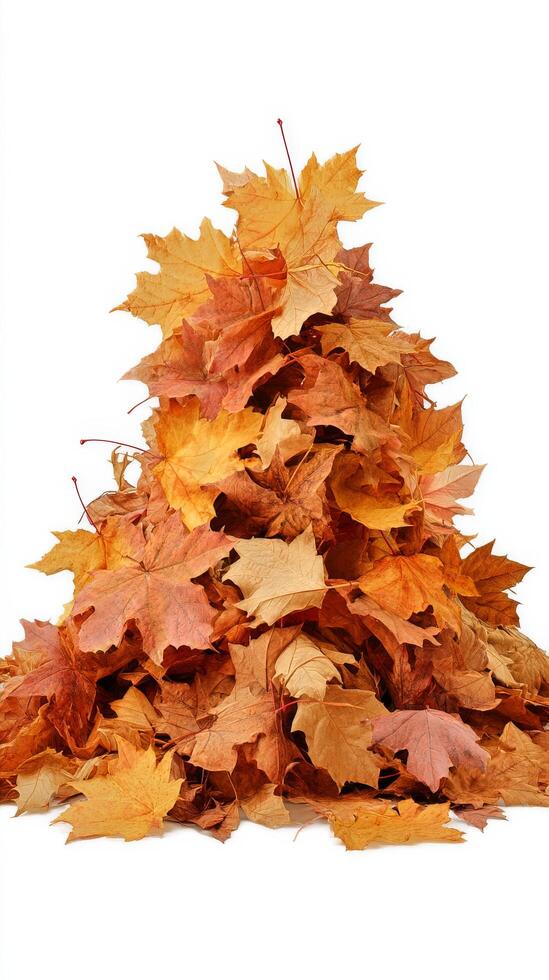Colorful Autumn Leaves Scattered on a White Background for Seasonal Decoration. photo