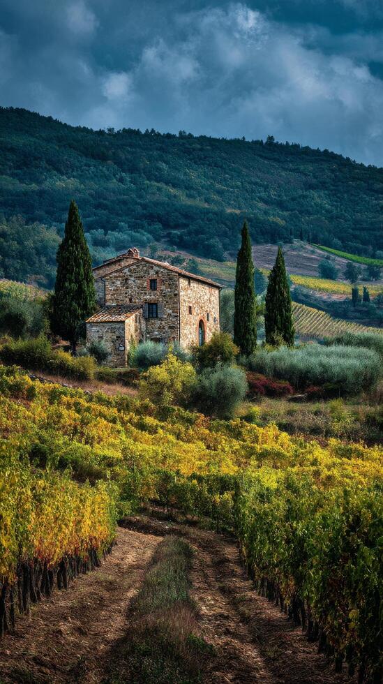 Rolling Vineyards Surround a Rustic Stone House With Lush Green Hills Under Cloudy Sky in Tuscany photo