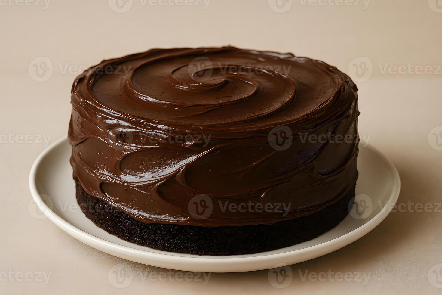A chocolate cake on a plate photo