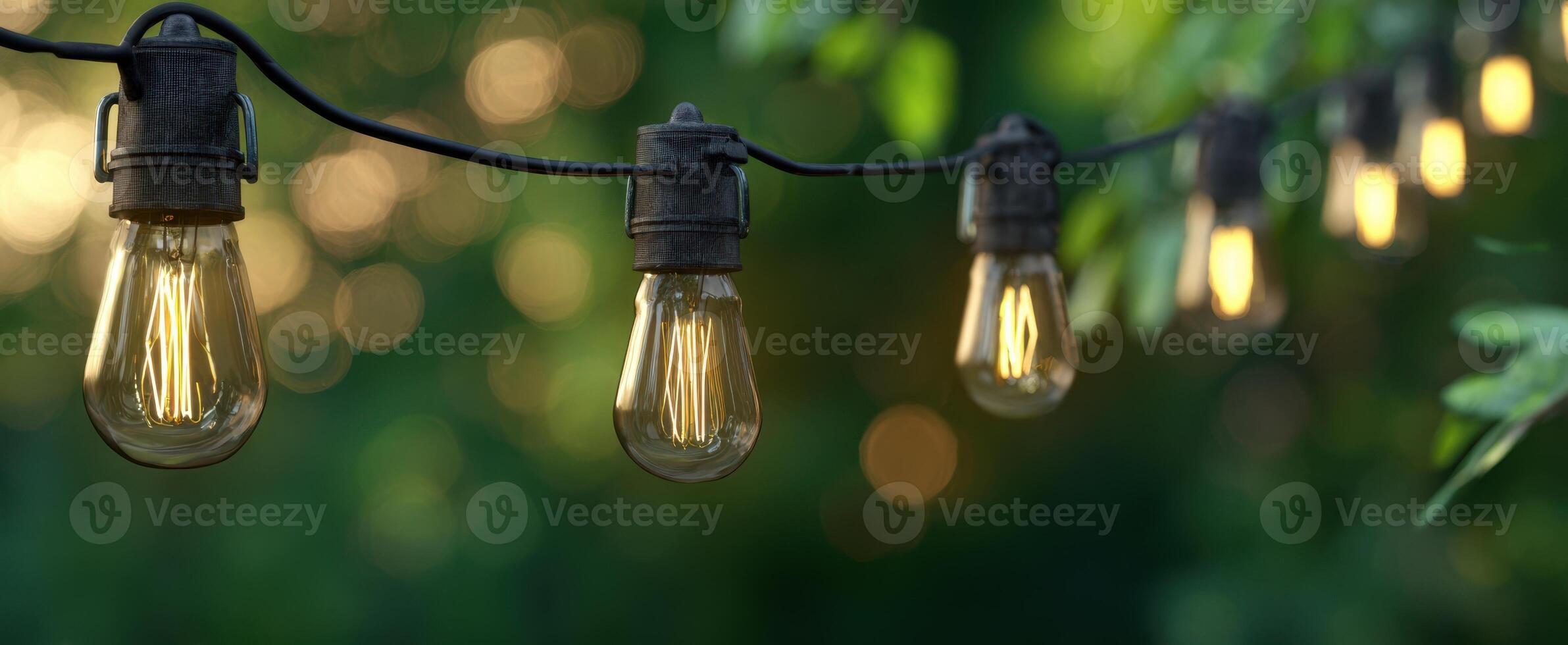 The warm glow of hanging string lights illuminating a beautiful garden setting. photo