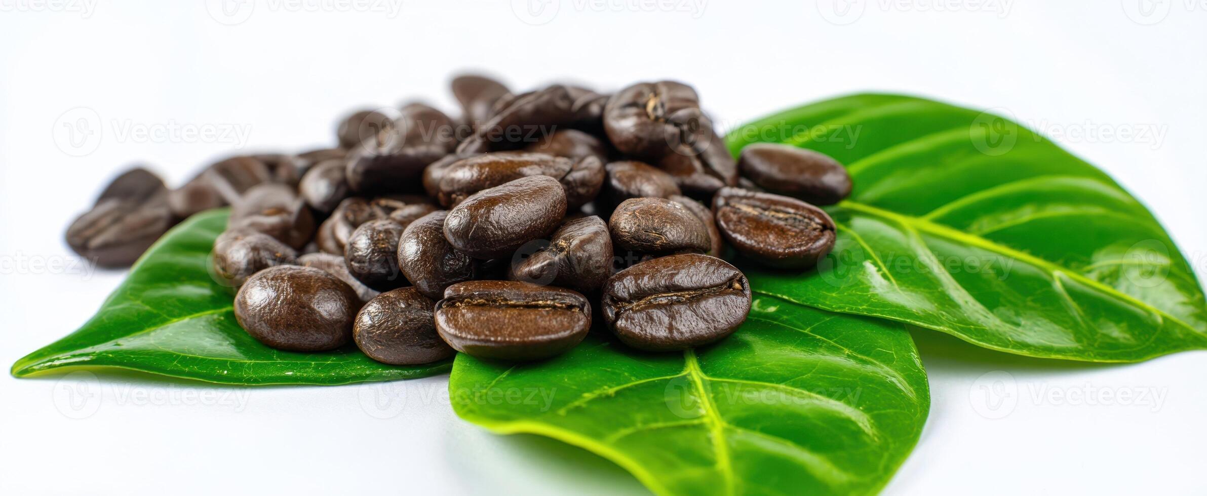 The abundance of coffee beans resting on vibrant green leaves. photo