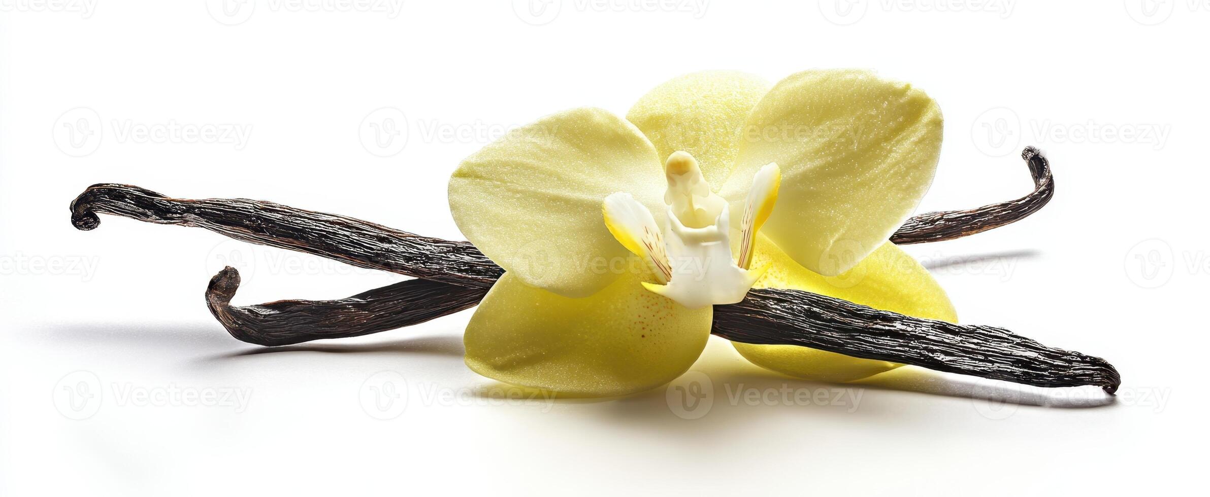 The elegant yellow orchid and vanilla pods on a bright background photo
