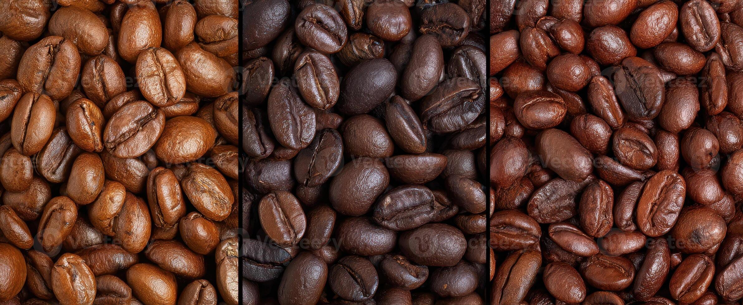 The coffee bean assortment showcasing various roasted levels and textures. photo