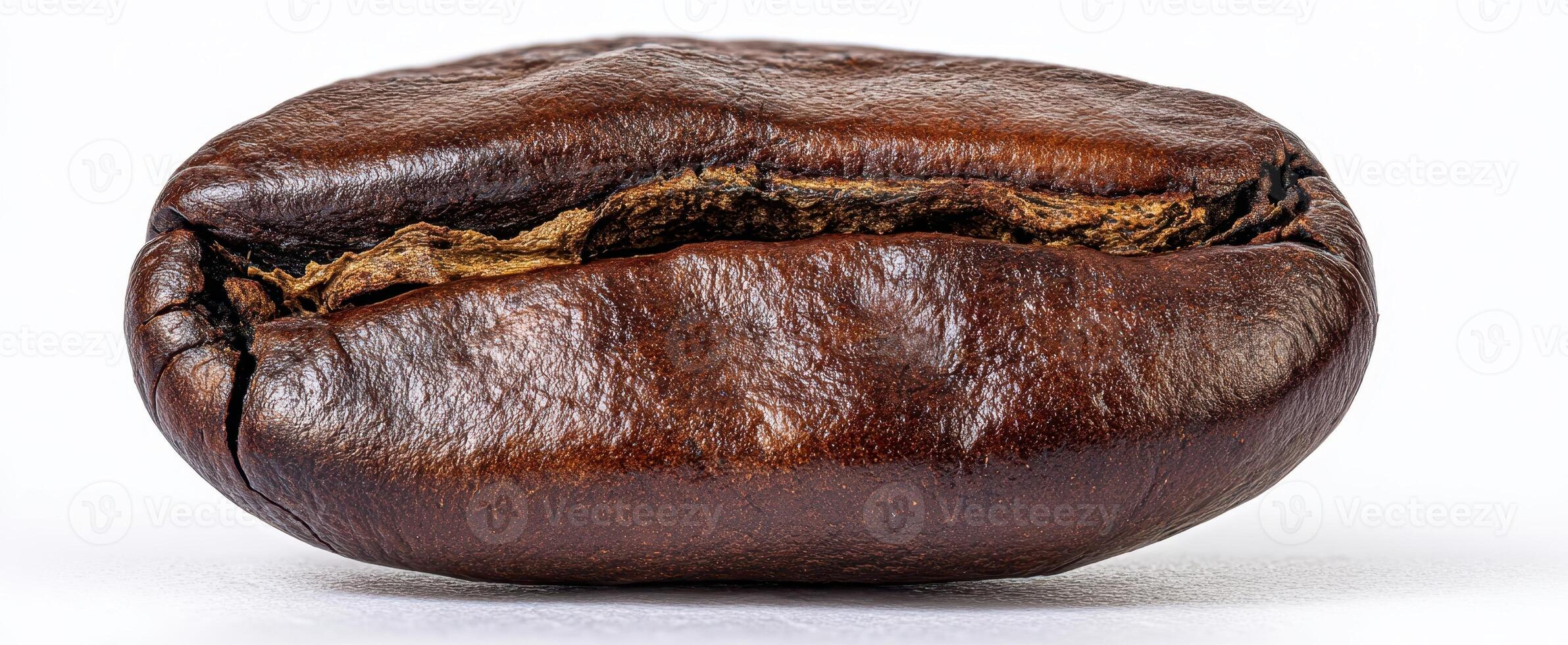 The exquisite coffee bean showcasing its rich texture and aroma. photo