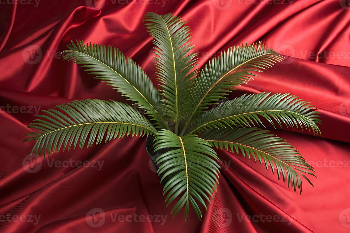 a palm tree on a red cloth photo