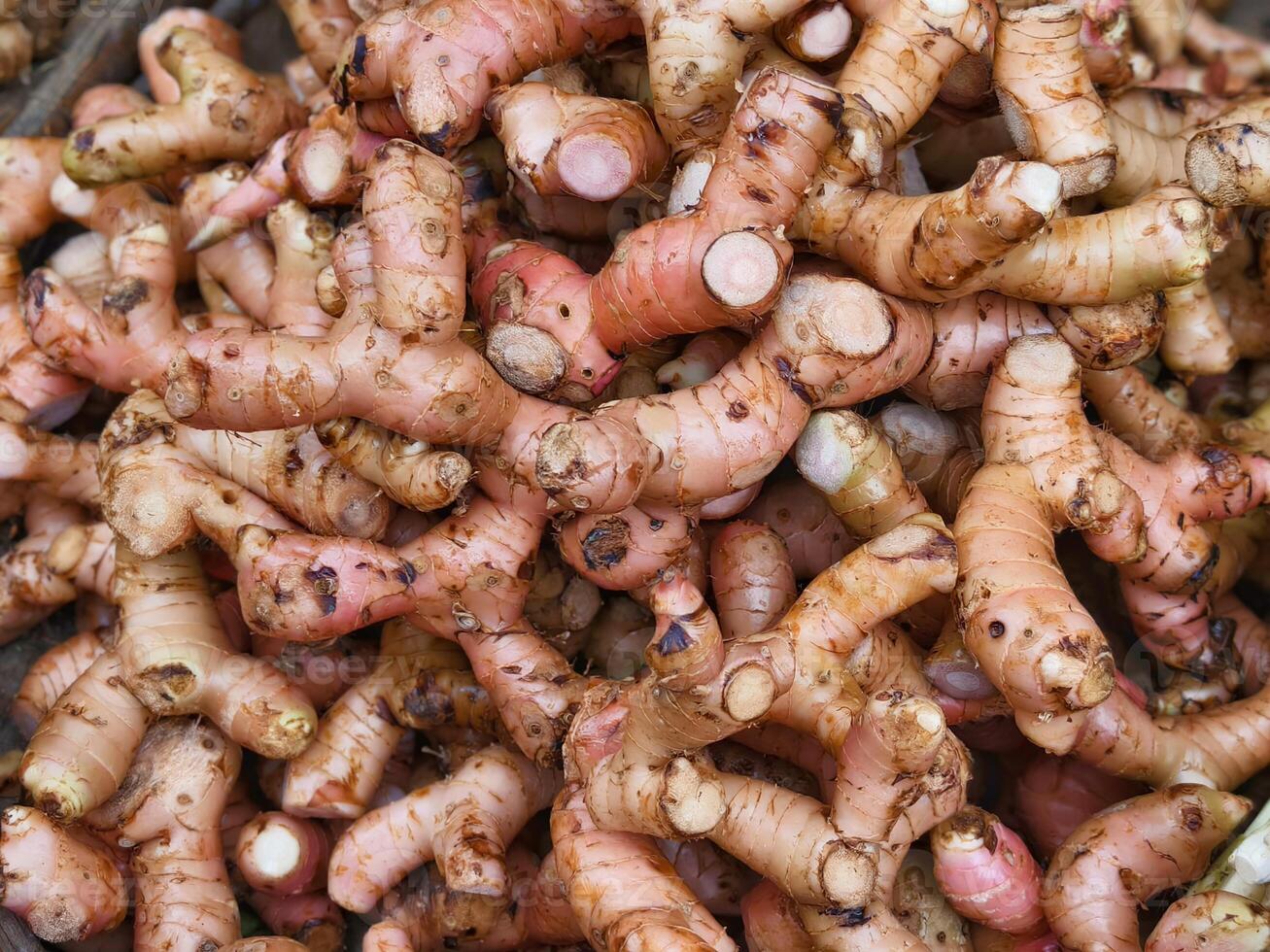 A large pile of fresh turmeric roots with rough brown skin and visible orange flesh in a market stall. photo