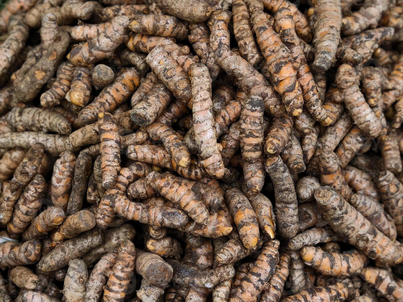 Fresh Turmeric Roots Displayed in a Traditional Market Stall photo