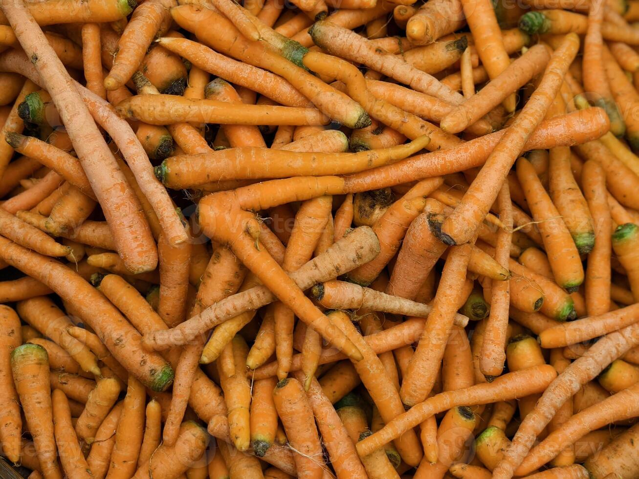 A pile of fresh organic carrots neatly displayed in a traditional market stall photo