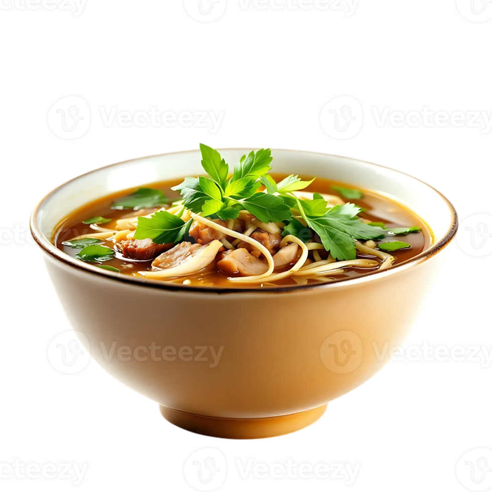 Appetizing Bowl of Chicken Noodle Soup with Herbs on Transparent Background png