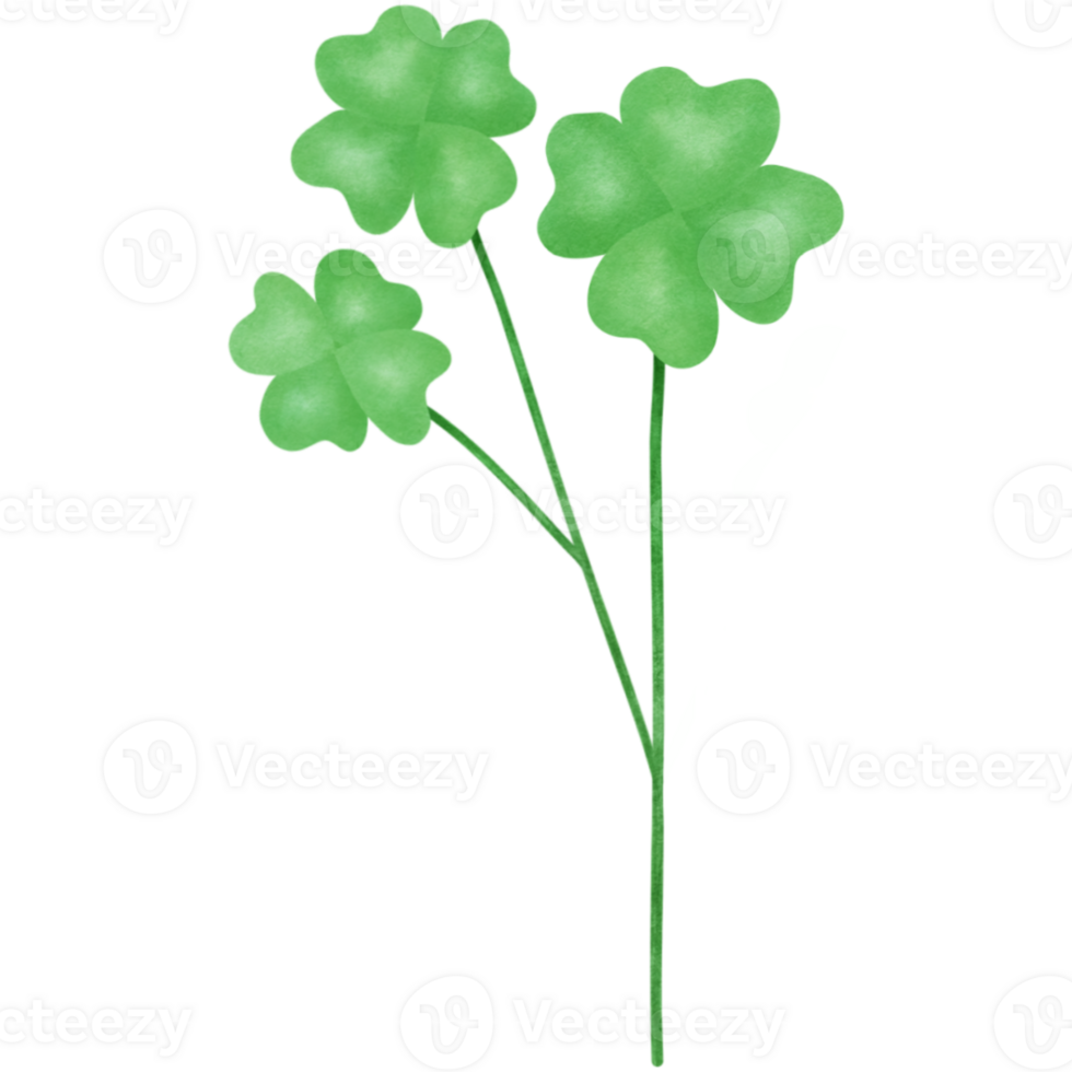 three clover leaves on a stem, green, transparent background png