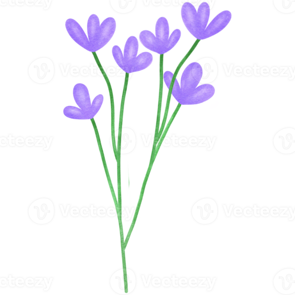 Little purple flowers on a transparent background png