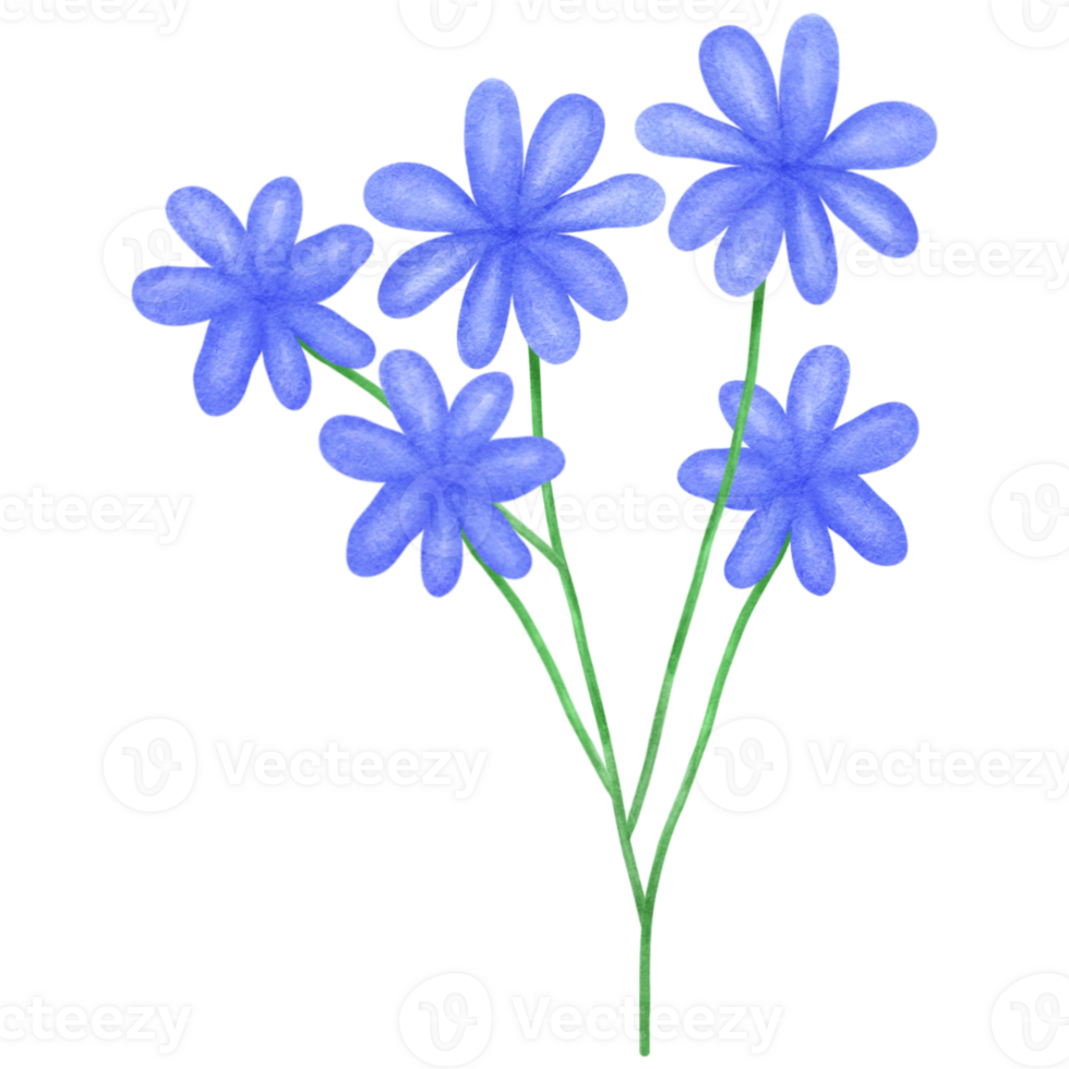 blue flowers clipart png