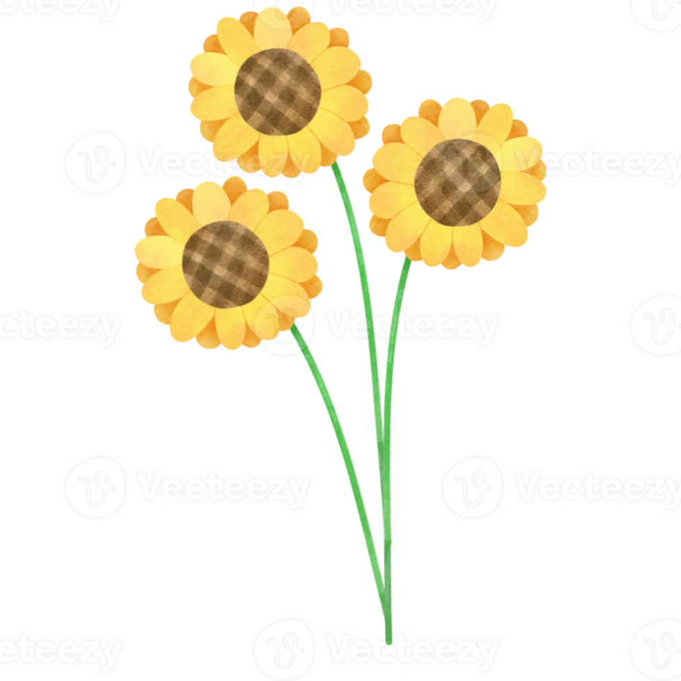 sunflower clipart bouquet png