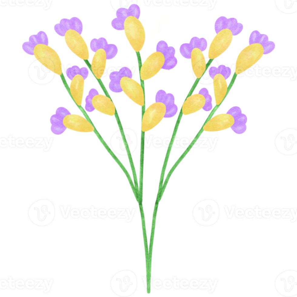 flowers on a transparent background png
