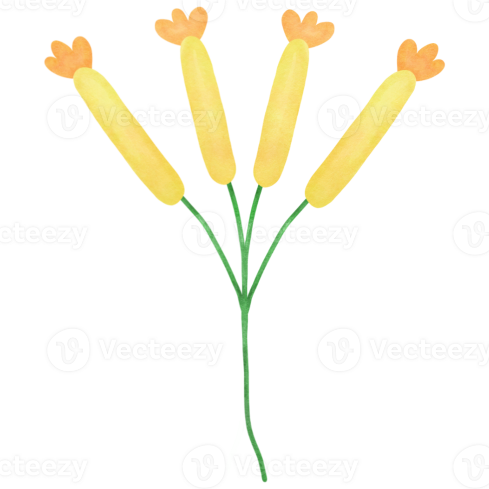 yellow flowers on a transparent background png