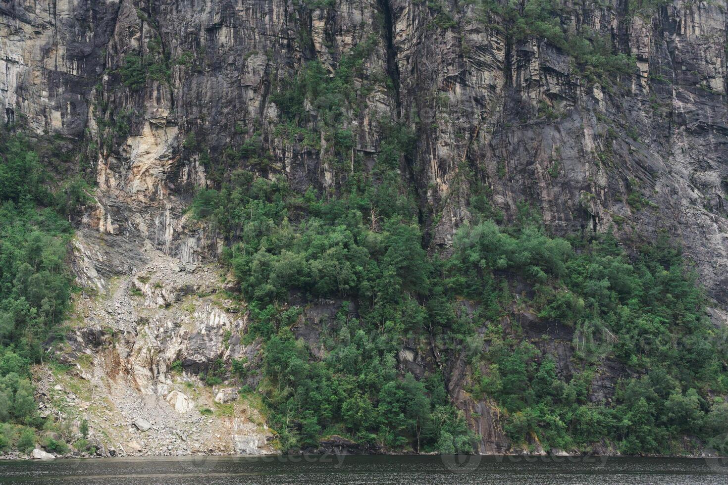 Steep rocky cliff with green forest above dark water in summer light photo