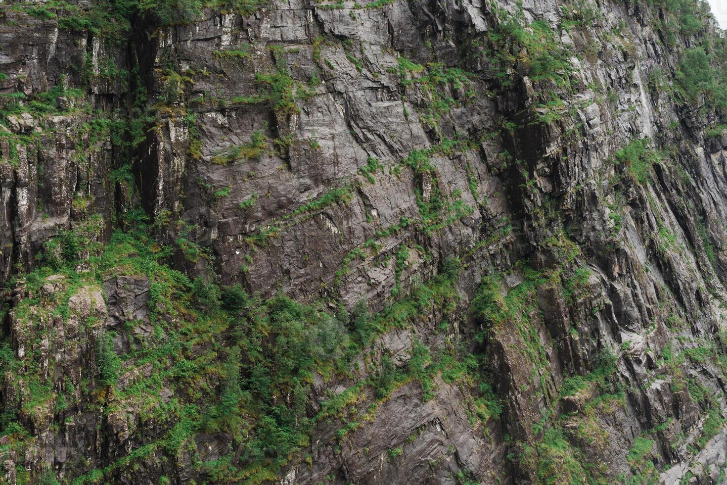 Textured vertical rock wall with green moss in Norwegian fjord near Bergen photo