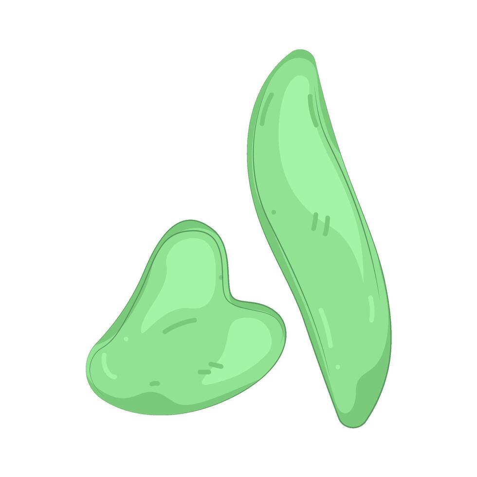 green gua sha vector