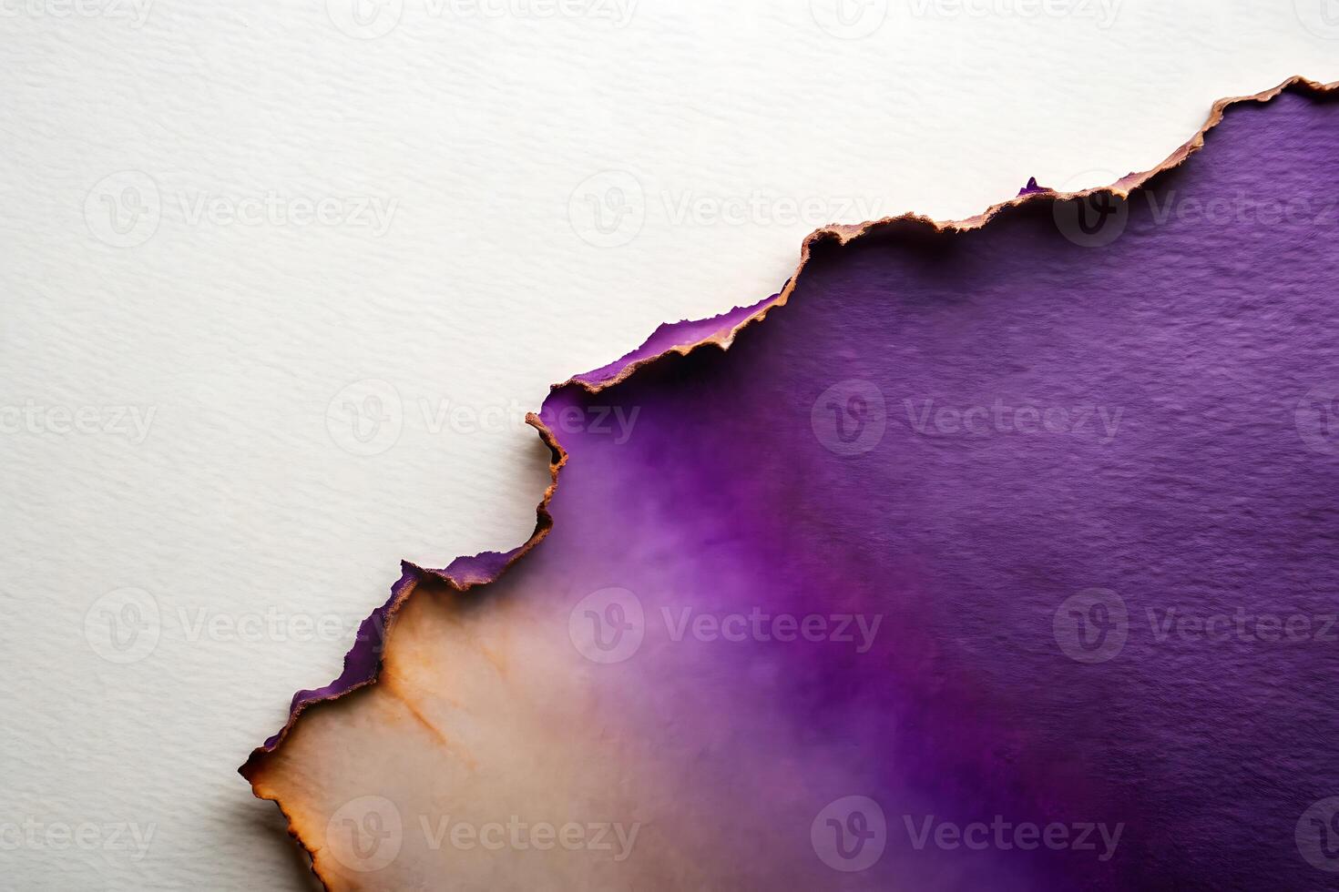 Abstract burnt paper edge with purple color and white background texture photo