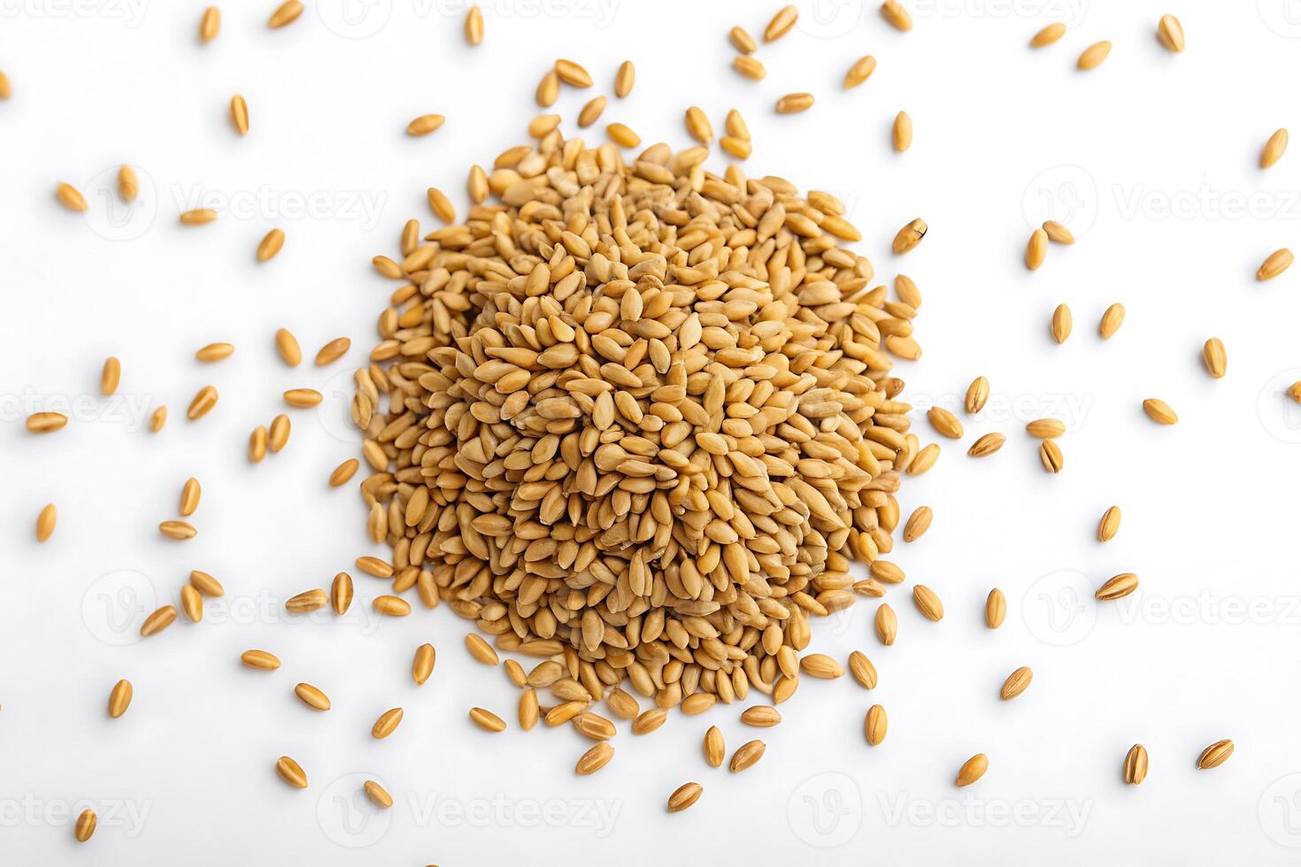 Pile of Golden Wheat Grains on White Background with Scattered Seed photo
