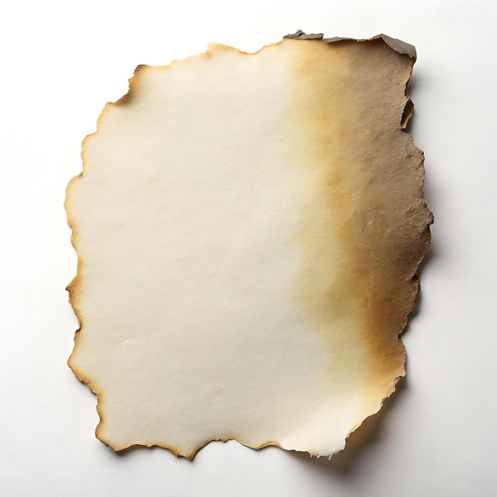 Antique paper with burned edges isolated for a background design photo