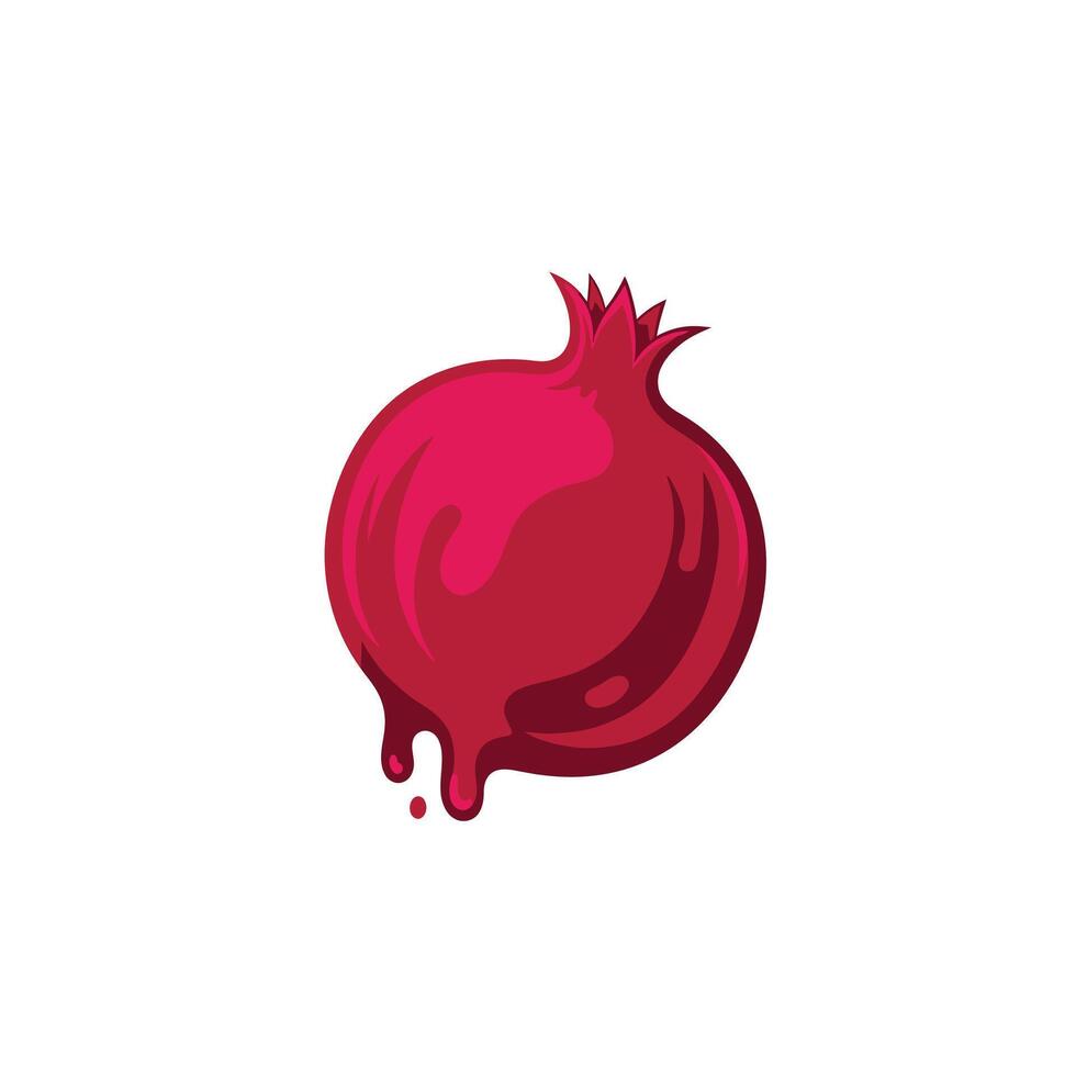 Pomegranate logo design on white background vector