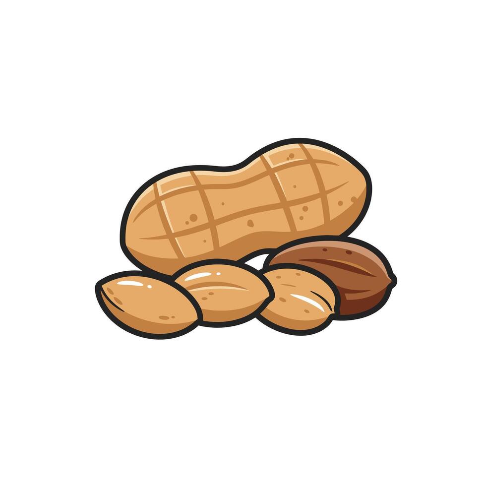 Peanut and nuts logo design vector