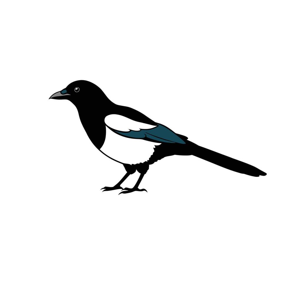 Magpie bird logo design on a white background vector