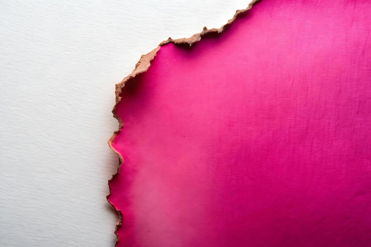 Striking Contrast, Pink and White Paper with a Burnt Edge Detail photo