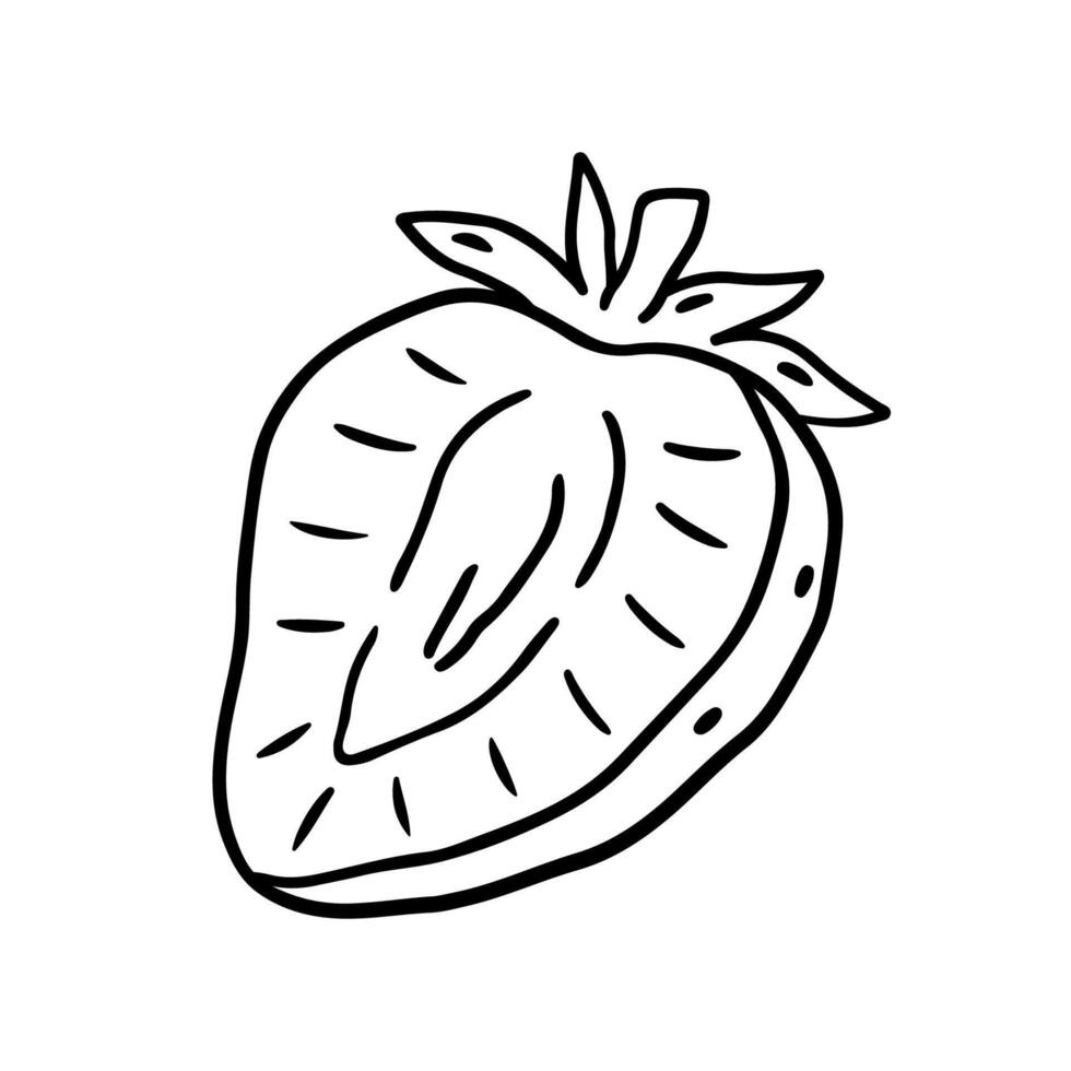 Sliced strawberries isolated on a white background. hand-drawn illustration in outline style. Perfect for cards, decorations, logo, menu, recipes, various designs. vector