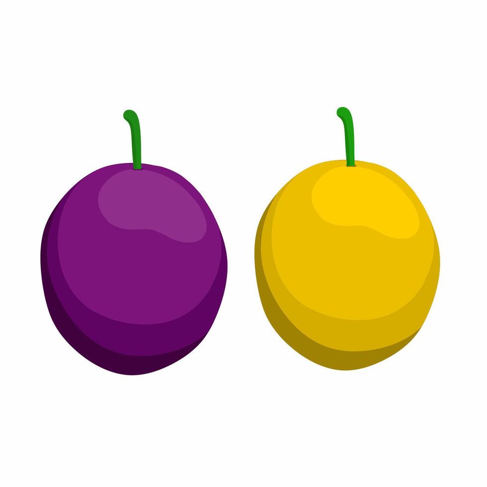 Purple and yellow passion fruit . Whole passion fruit on white background. vector