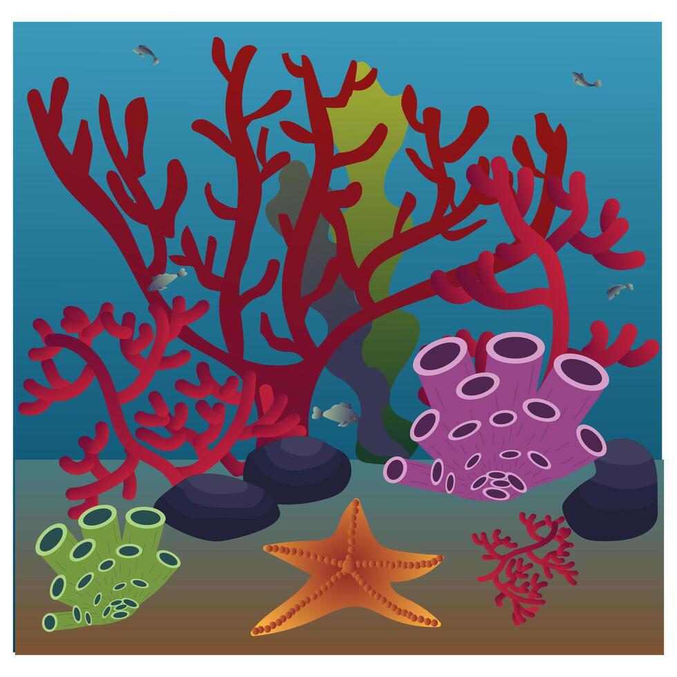 Underwater world. Starfish, corals, stones, seaweed, sponges on the ocean floor. vector