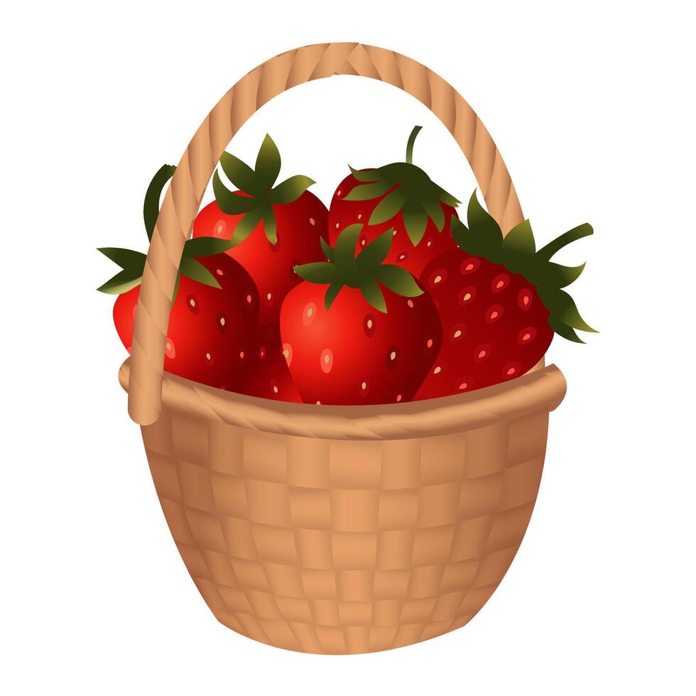 Large wicker basket with ripe strawberries. vector