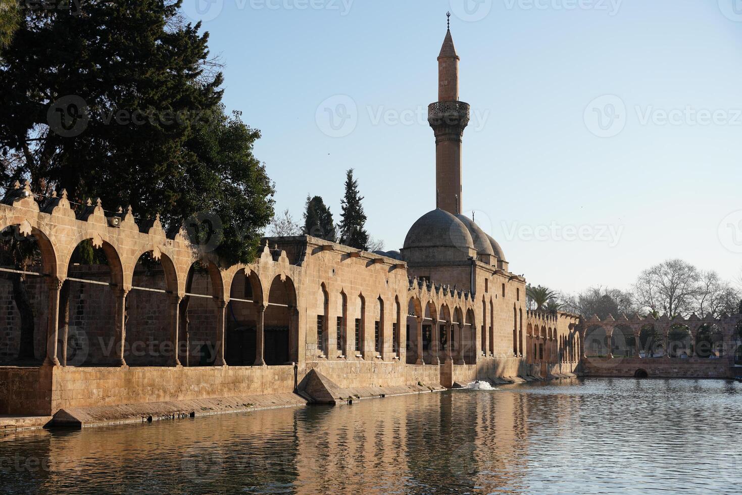 Balikligol, Pool of Abraham in Sanliurfa city, Turkiye photo