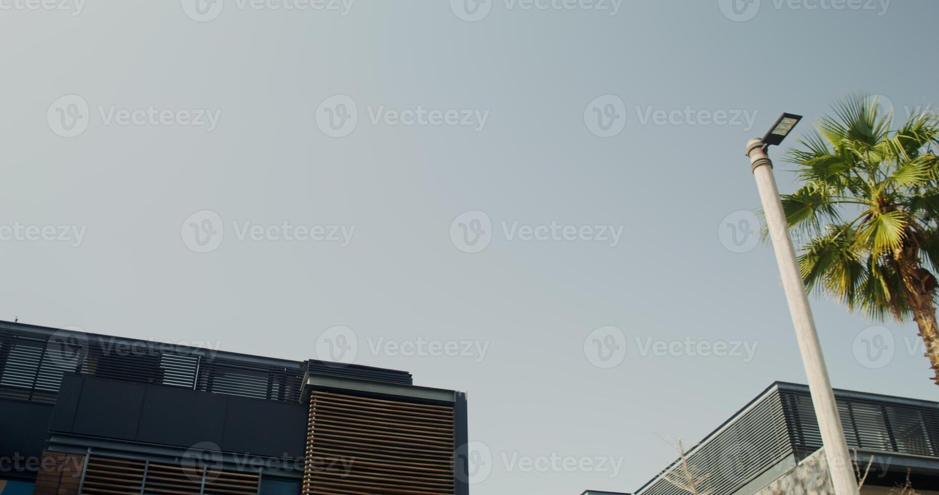 from the window of a moving car, a view of the crowns of palm trees and roofs of cottages on a bright sunny day - crowns photo