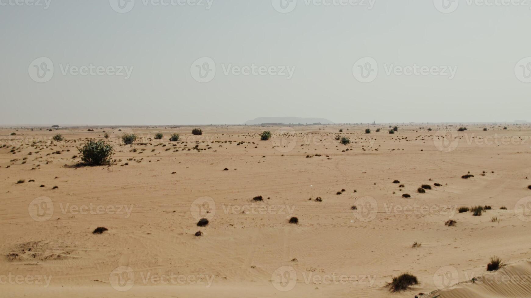 The drone flies over a desert with sparse green vegetation among sand dunes photo