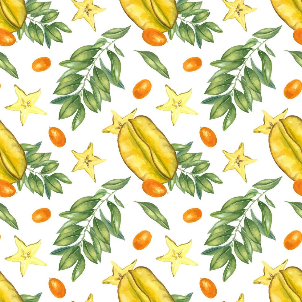 Fresh carambola with orange kumquats watercolor illustration isolated background. Star fruit and berries. Whole and slices exotic citrus fruits for tropical food packaging, juice labels vector