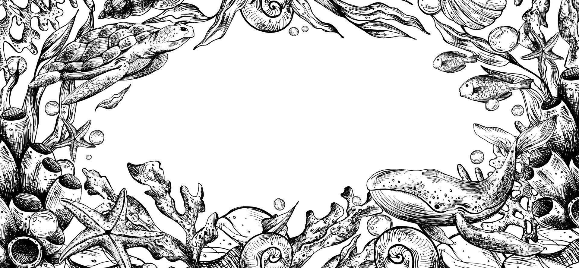 Marine underwater clip art with turtle, whale, shells, sea sponges, corals, starfish, pebbles, seaweed, fish, bubbles. Graphic illustration hand drawn in black ink. Border, template, frame EPS . vector