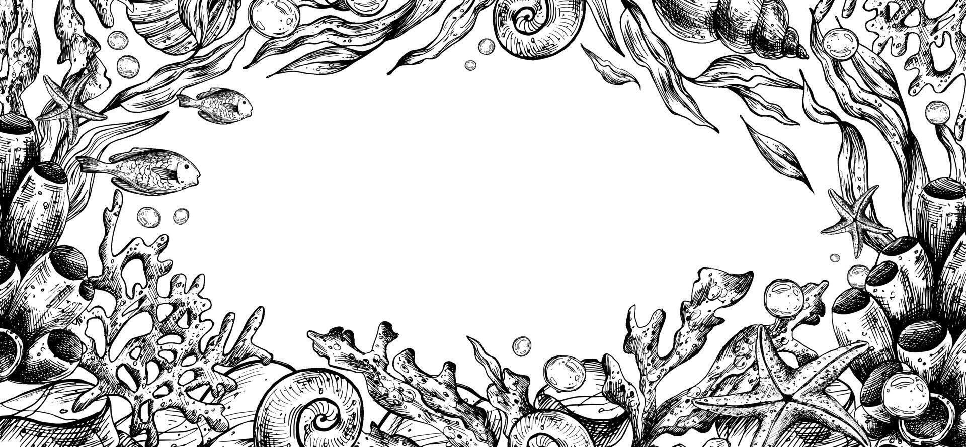 Marine underwater clip art with shells, sea sponges, corals, starfish, pebbles, seaweed, fish, bubbles. Graphic illustration hand drawn in black ink. Border, template, frame EPS vector