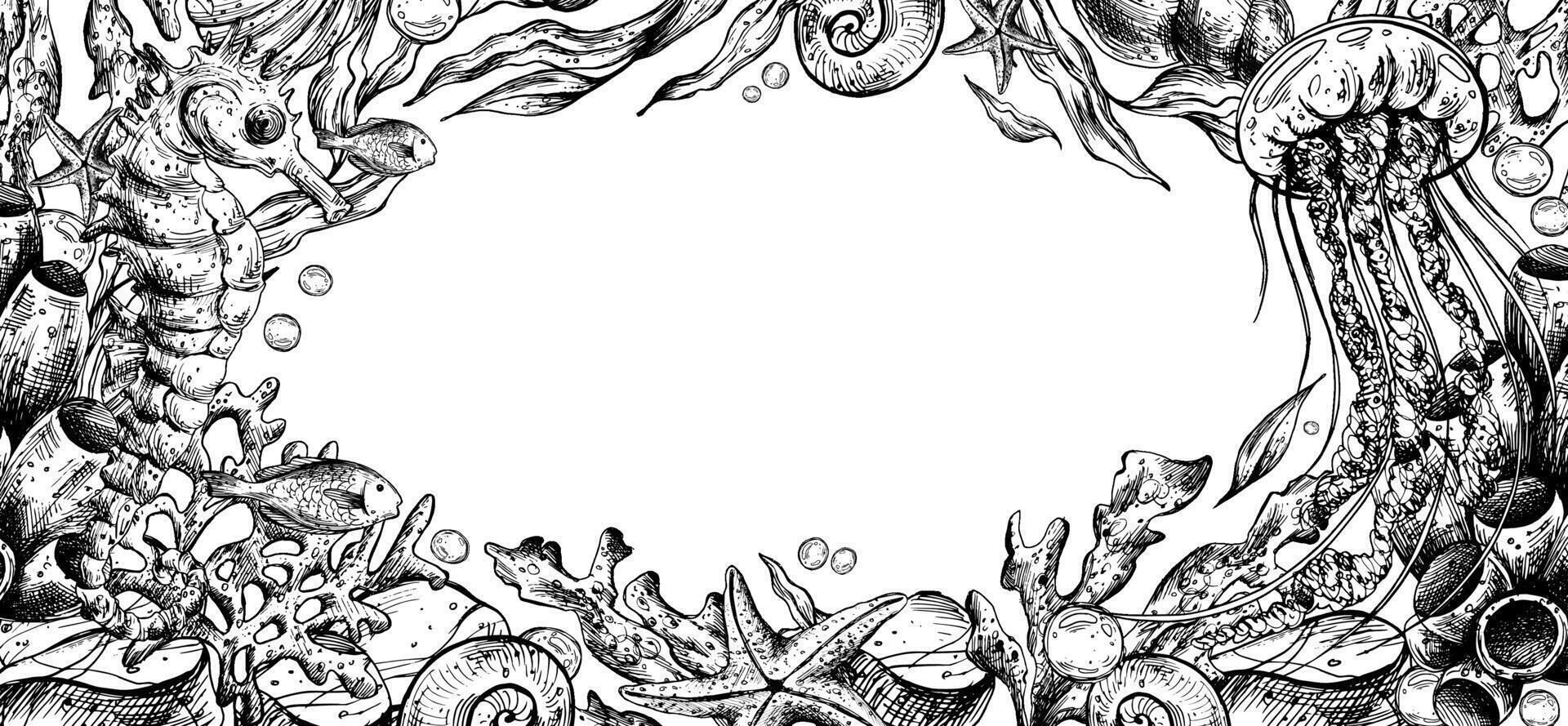 Marine underwater jellyfish, seahorse, shells, sea sponges, corals, starfish, pebbles, seaweed, fish, bubbles. Graphic illustration hand drawn in black ink. Border, template, frame EPS . vector