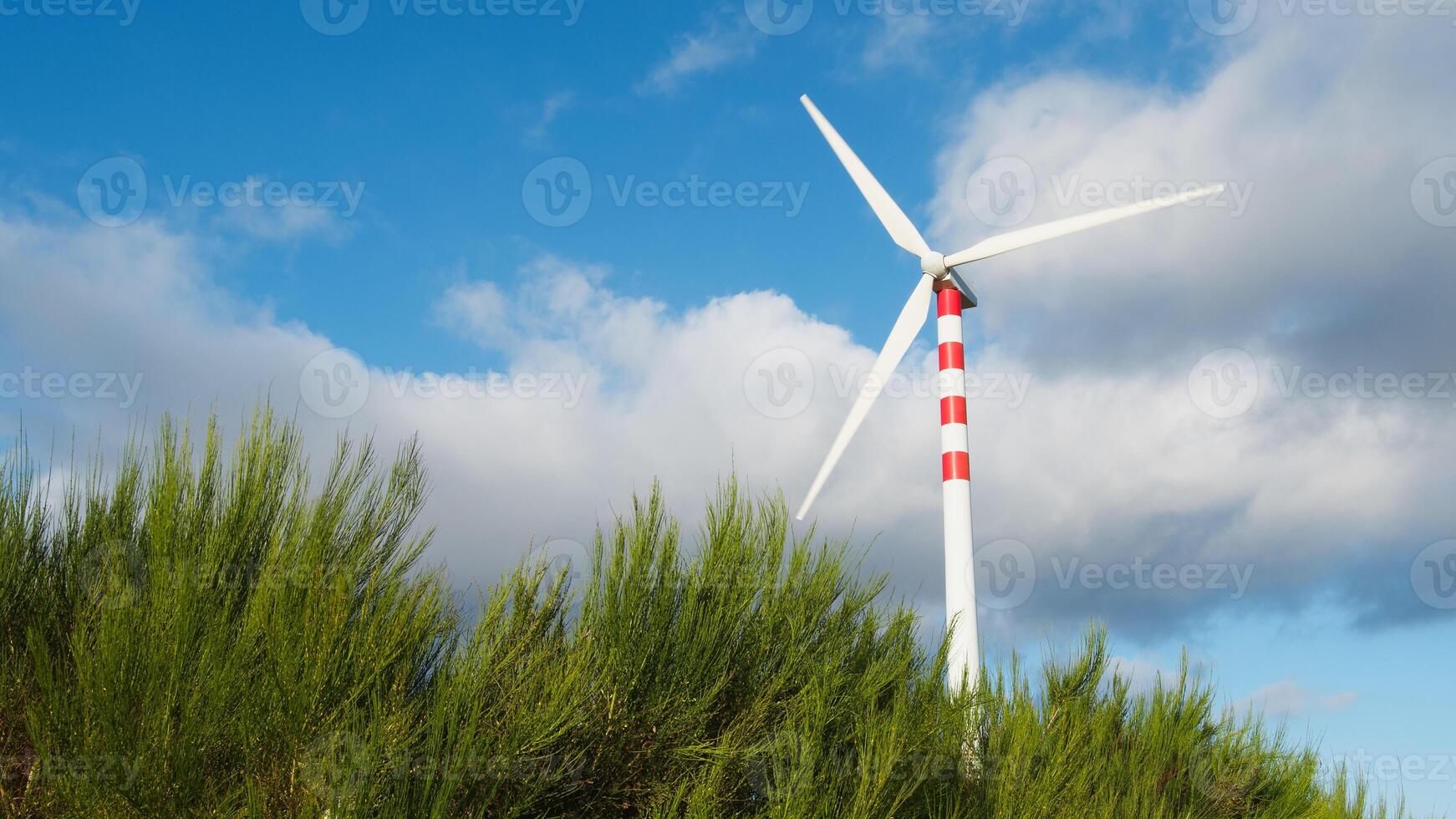 Green Nature And A Wind Turbine photo
