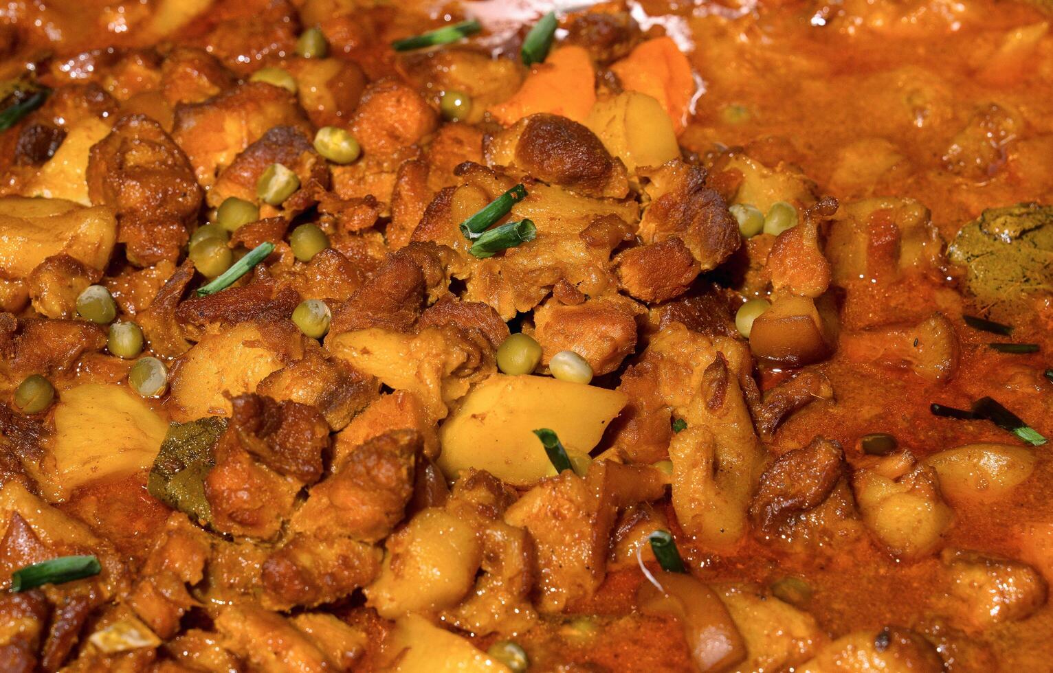 pork afritada with green onions photo