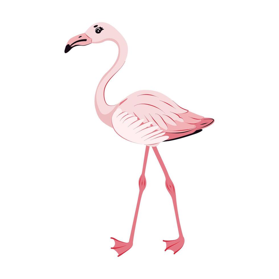 Beautiful pink flamingo Isolated. African birds. Children cute animal illustration. vector