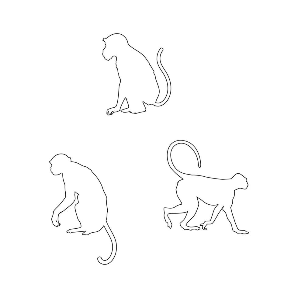 Outline Style Monkey Collection with Hand Drawn Bat Illustration Set Isolated on White Background vector